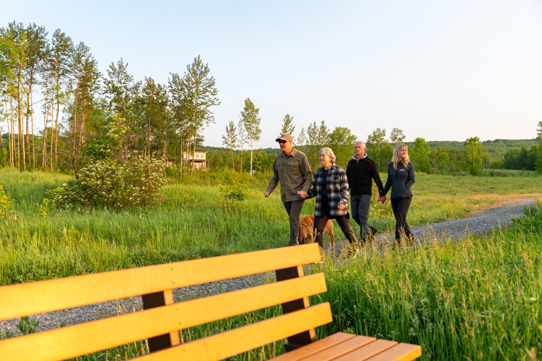 Four people walk along a gravel path holding hands in a grassy, sunny field, with a golden retriever nearby and a bright yellow bench in the foreground.