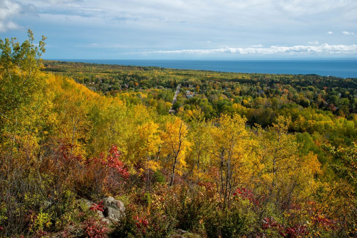 duluth fall colors aerial photo